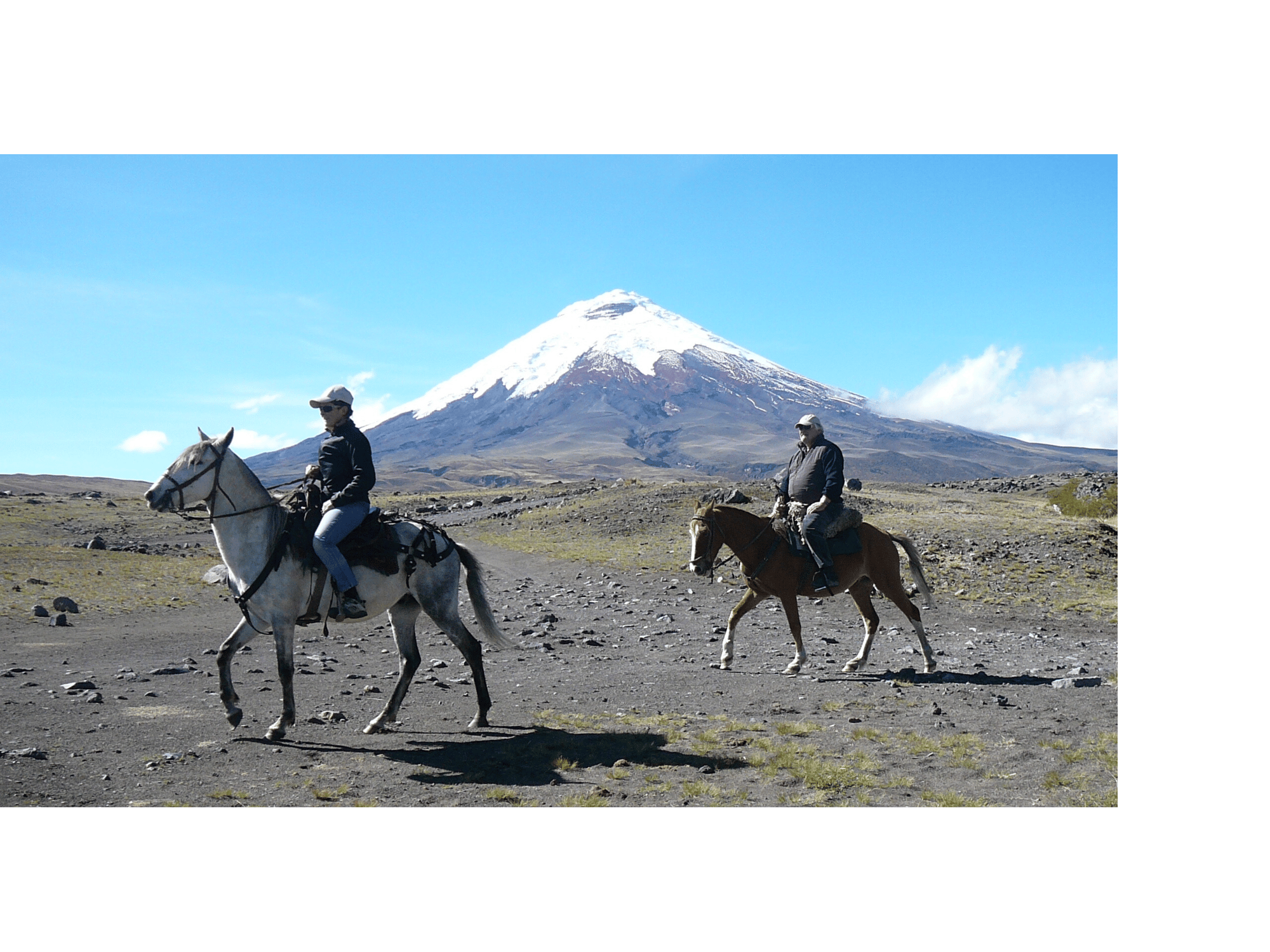 Caminatas-Cabalgatas-Tren